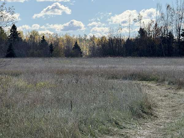 77 Acres of Land for Sale in Cheboygan, Michigan