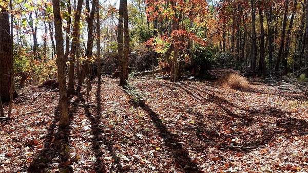 9 Acres of Land for Sale in Marion, North Carolina