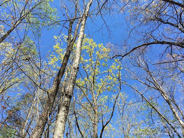 9 Acres of Residential Land for Sale in Marion, North Carolina