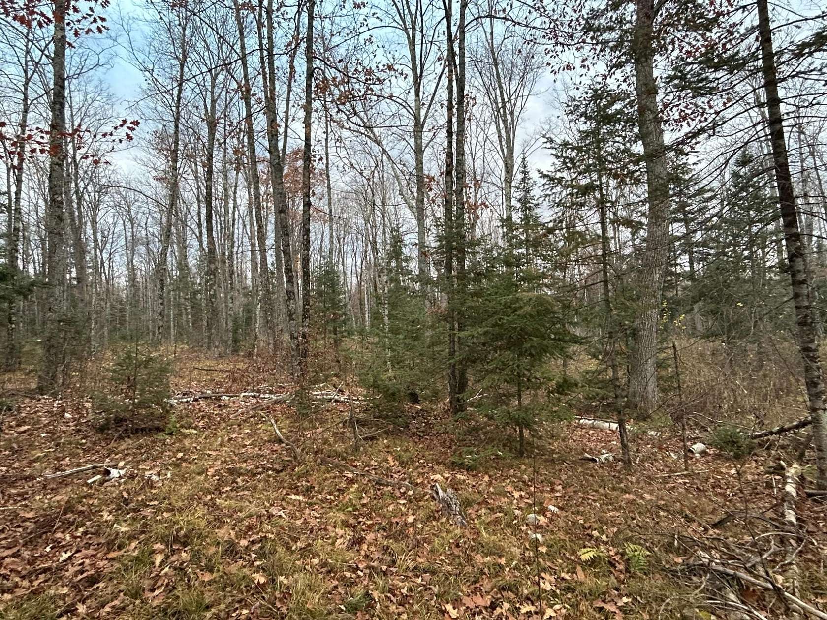 18.6 Acres of Recreational Land for Sale in Pelican Lake, Wisconsin