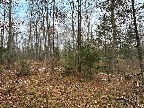 18.6 Acres of Recreational Land for Sale in Pelican Lake, Wisconsin