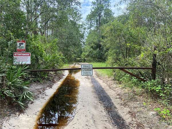 2.5 Acres of Land for Sale in Osteen, Florida