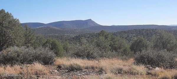79.8 Acres of Recreational Land for Sale in Seligman, Arizona