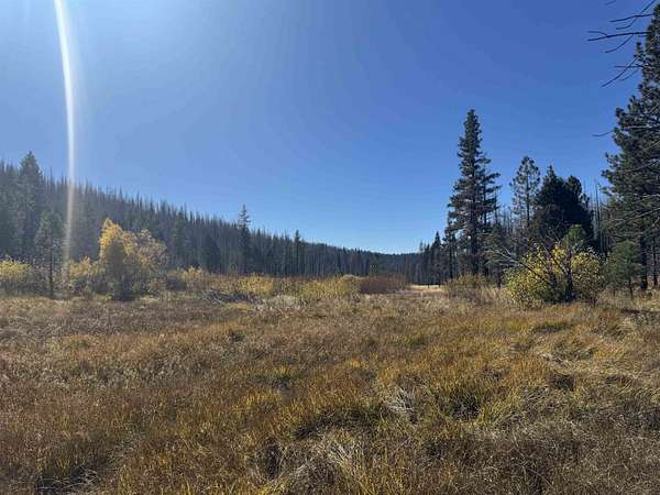 50 Acres of Recreational Land for Sale in Taylorsville, California