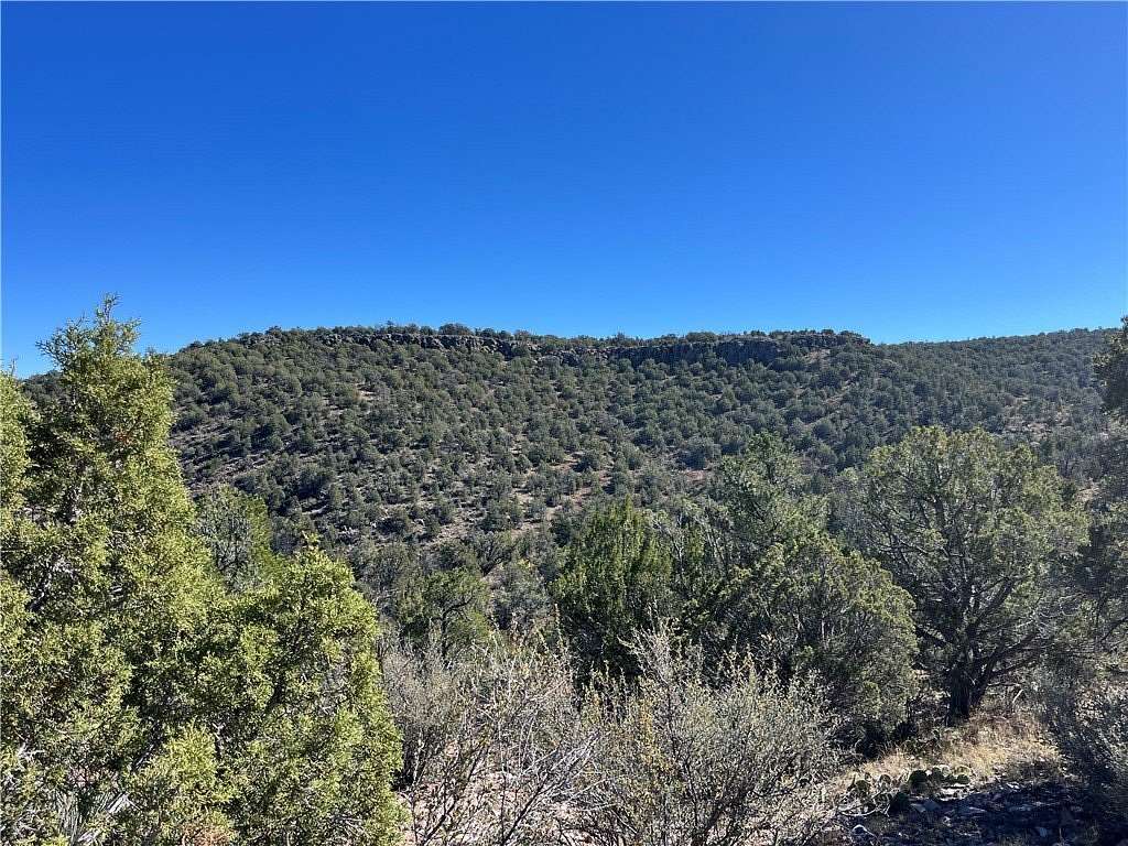 39 Acres of Land for Sale in Seligman, Arizona