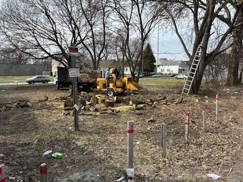 0.06 Acres of Residential Land for Sale in Chicago, Illinois