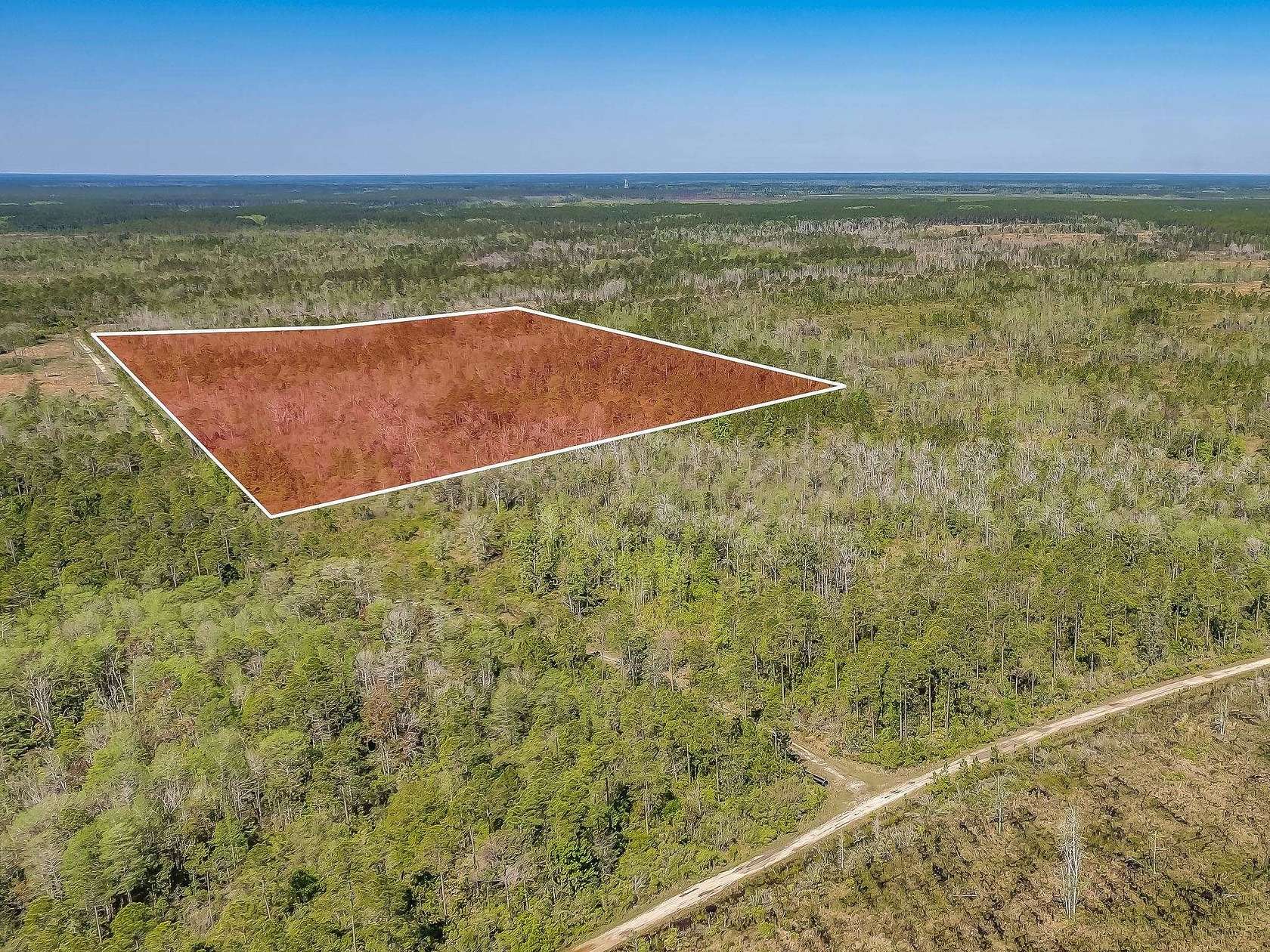 48.1 Acres of Land for Sale in Crawfordville, Florida