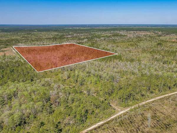 48.1 Acres of Land for Sale in Crawfordville, Florida
