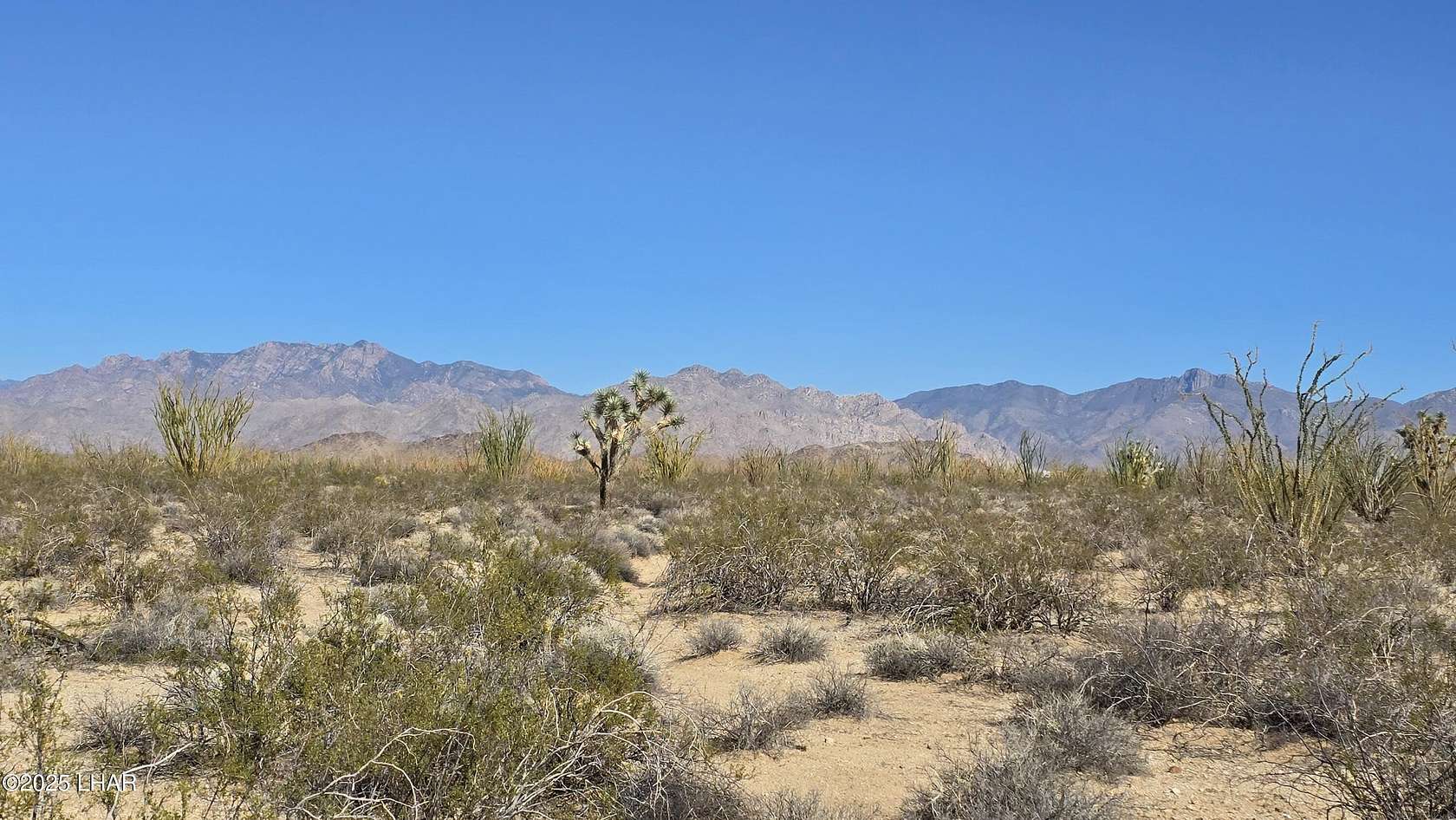 40 Acres of Recreational Land for Sale in Yucca, Arizona