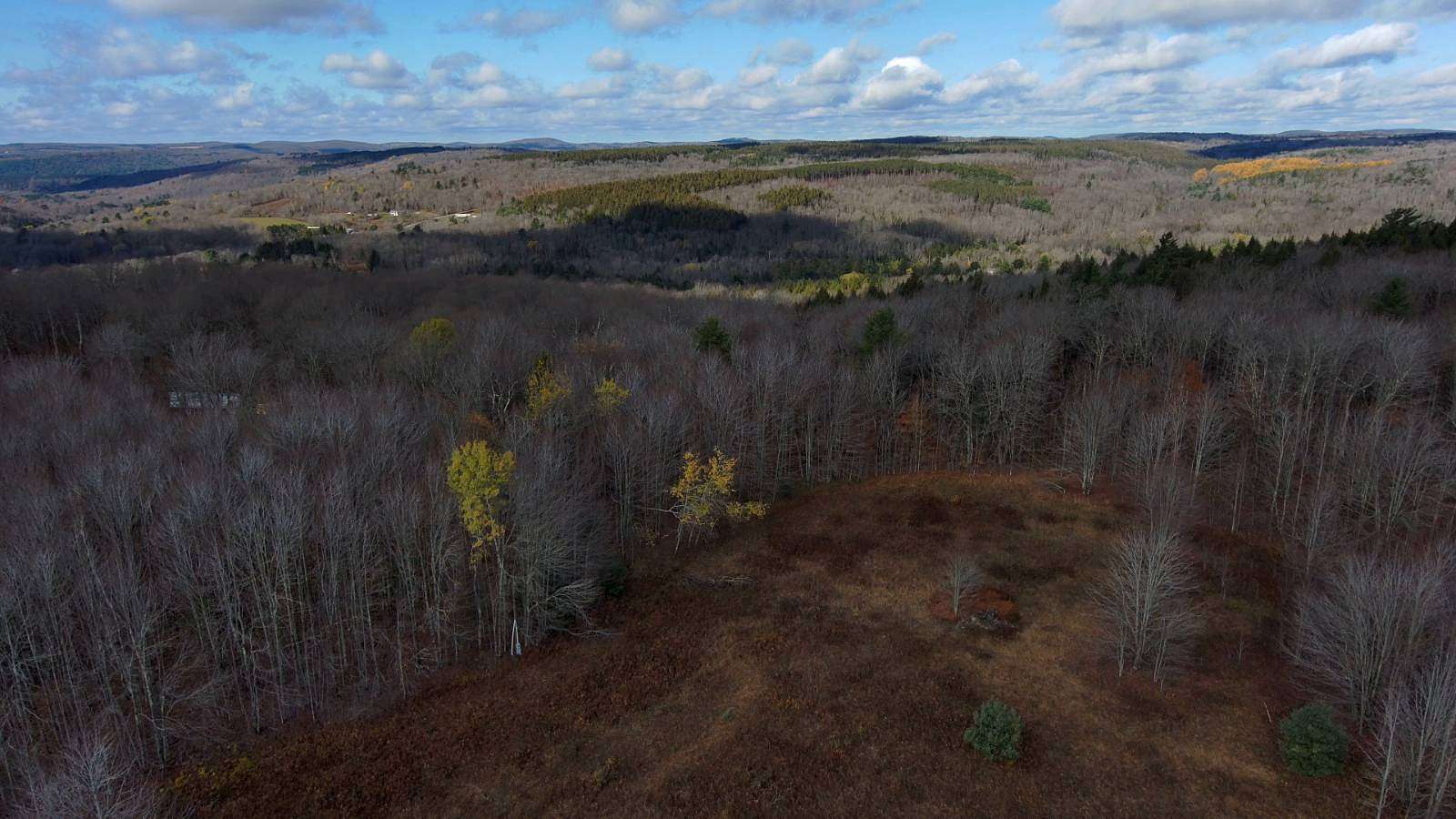 5 Acres of Land for Sale in Jefferson, New York