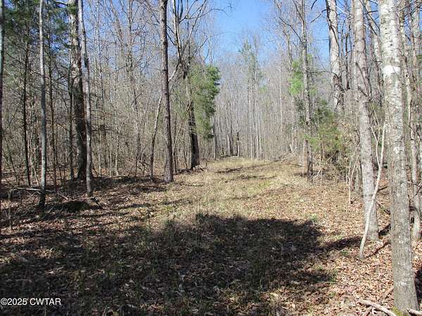 16 Acres of Recreational Land for Sale in Parsons, Tennessee