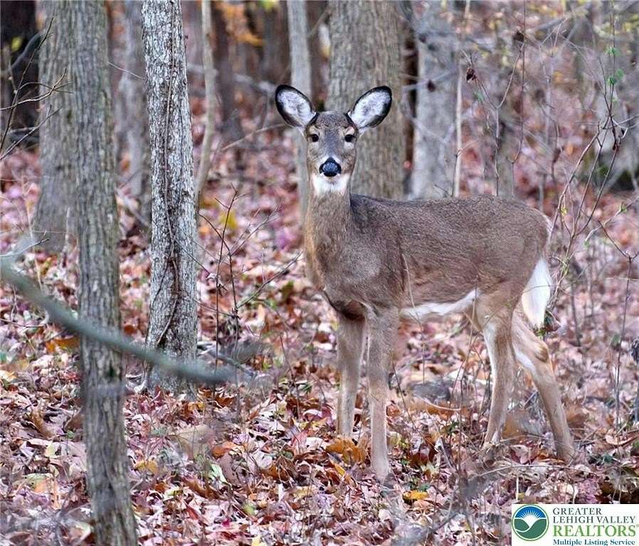0.47 Acres of Residential Land for Sale in Tunkhannock Township, Pennsylvania