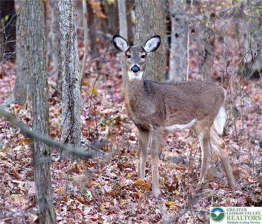 0.47 Acres of Residential Land for Sale in Tunkhannock Township, Pennsylvania