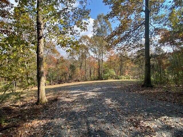 6.9 Acres of Land for Sale in Brooksville, Kentucky