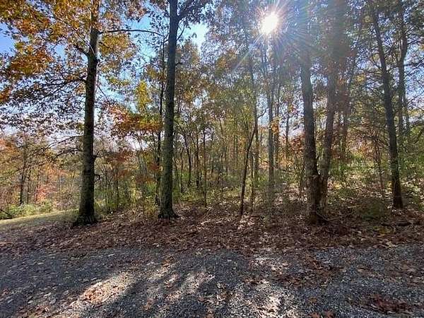 6.9 Acres of Land for Sale in Brooksville, Kentucky