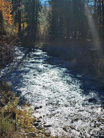 12 Acres of Recreational Land for Sale in Featherville, Idaho