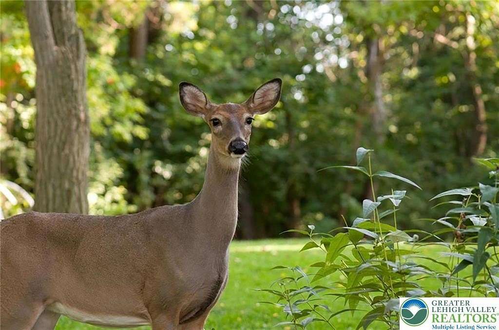 0.96 Acres of Residential Land for Sale in Penn Forest Township, Pennsylvania