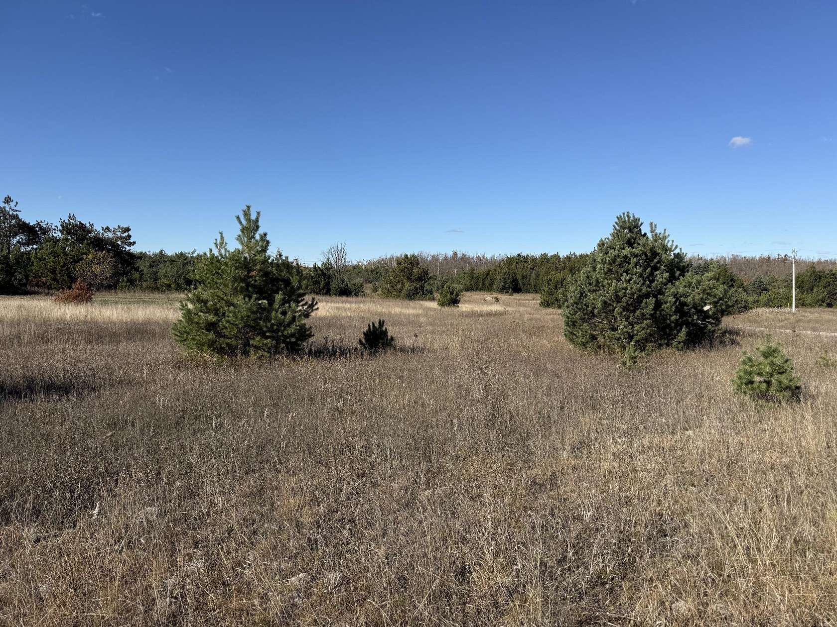 1.52 Acres of Residential Land for Sale in Elmira, Michigan