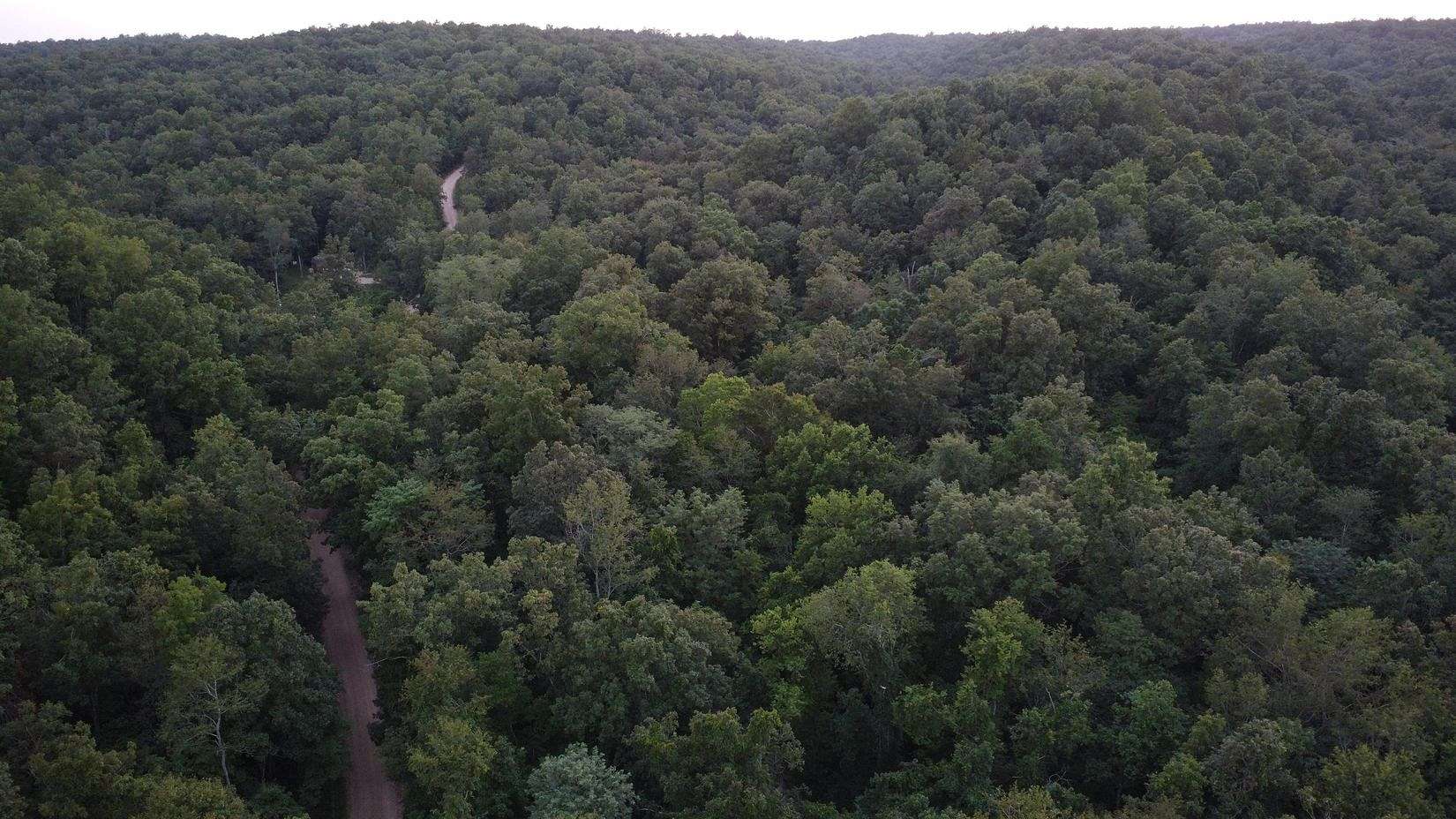 15 Acres of Recreational Land for Sale in Ellington, Missouri