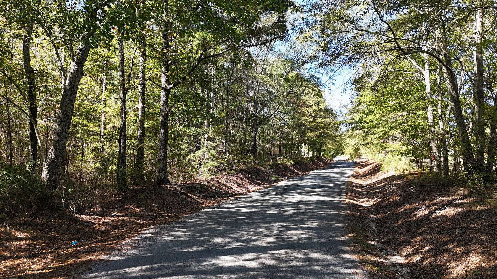 18.2 Acres of Recreational Land for Sale in Sand Rock, Alabama