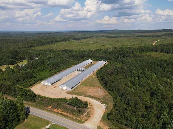 22 Acres of Agricultural Land for Sale in Cragford, Alabama