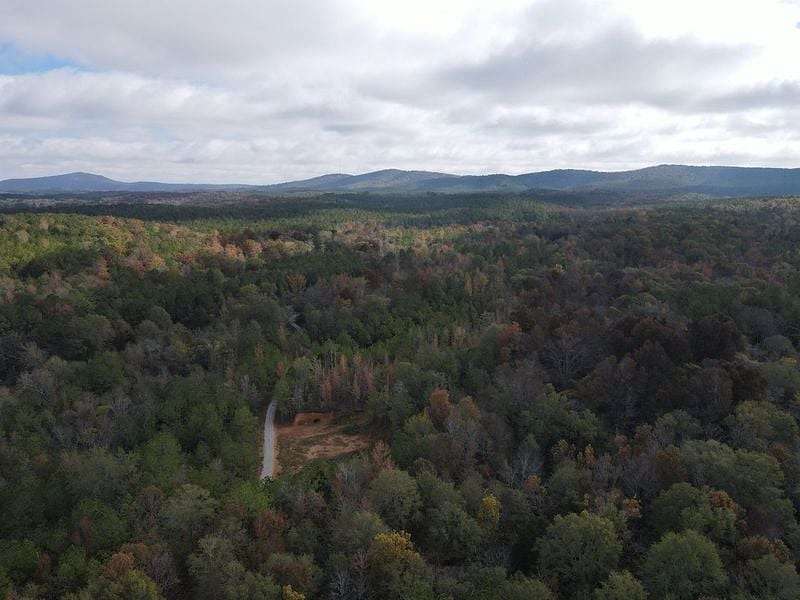 96 Acres of Recreational Land for Sale in Talladega, Alabama