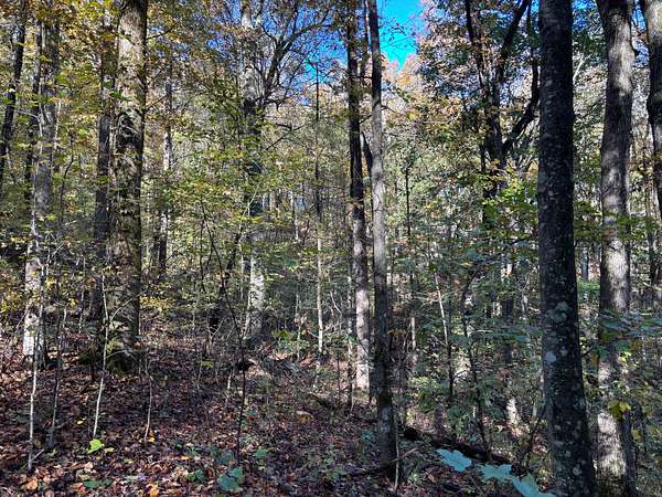 24.7 Acres of Land for Sale in Talking Rock, Georgia
