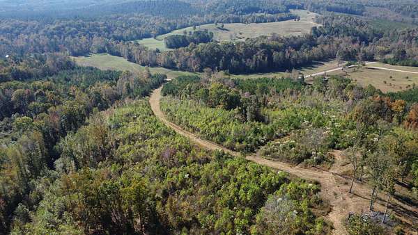 45 Acres of Recreational Land for Sale in Ranburne, Alabama