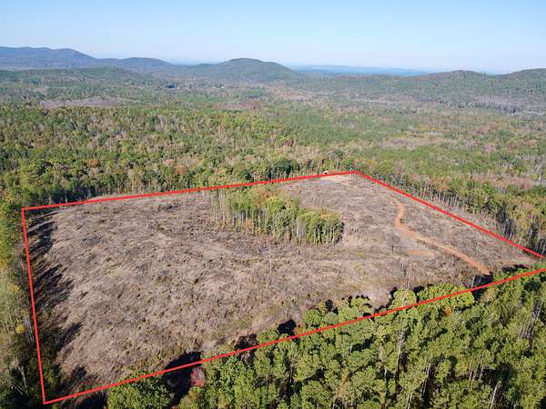 40 Acres of Land for Sale in Talladega, Alabama