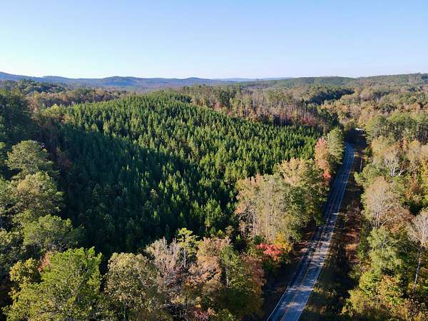 20 Acres of Recreational Land for Sale in Talladega, Alabama