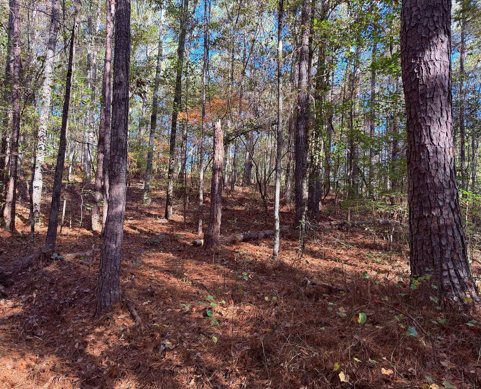 5.22 Acres of Residential Land for Sale in Carrollton, Georgia