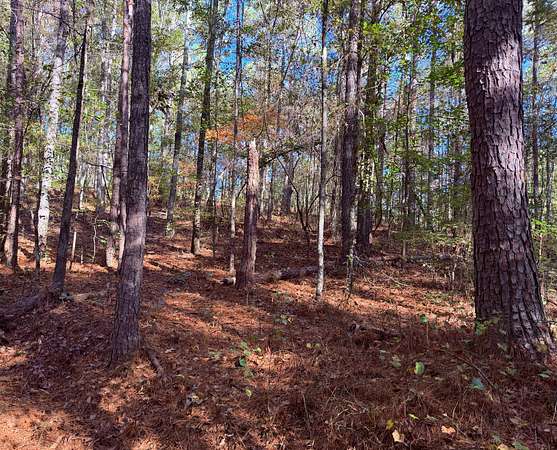 5.22 Acres of Residential Land for Sale in Carrollton, Georgia