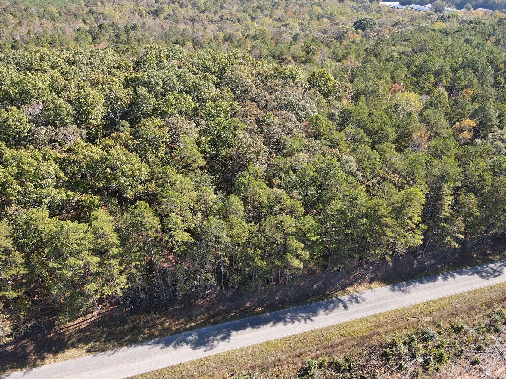 1 Acre of Residential Land for Sale in Lineville, Alabama