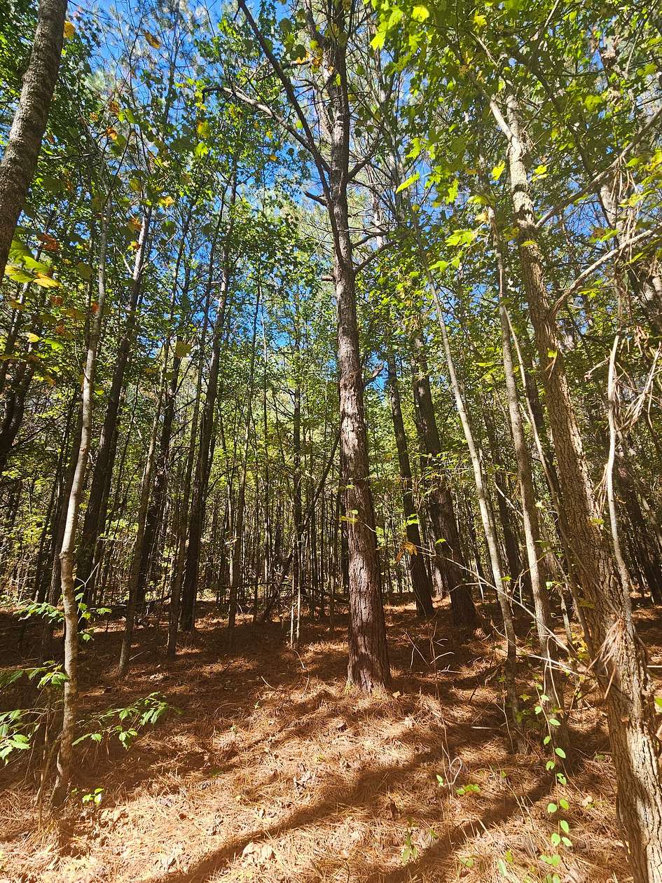 20.5 Acres of Recreational Land for Sale in Sand Rock, Alabama