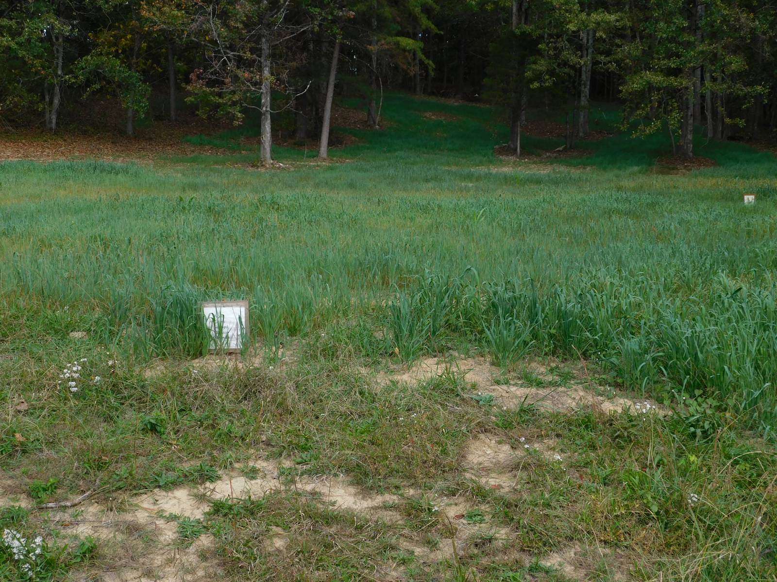 1.1 Acres of Mixed-Use Land for Sale in Morehead, Kentucky