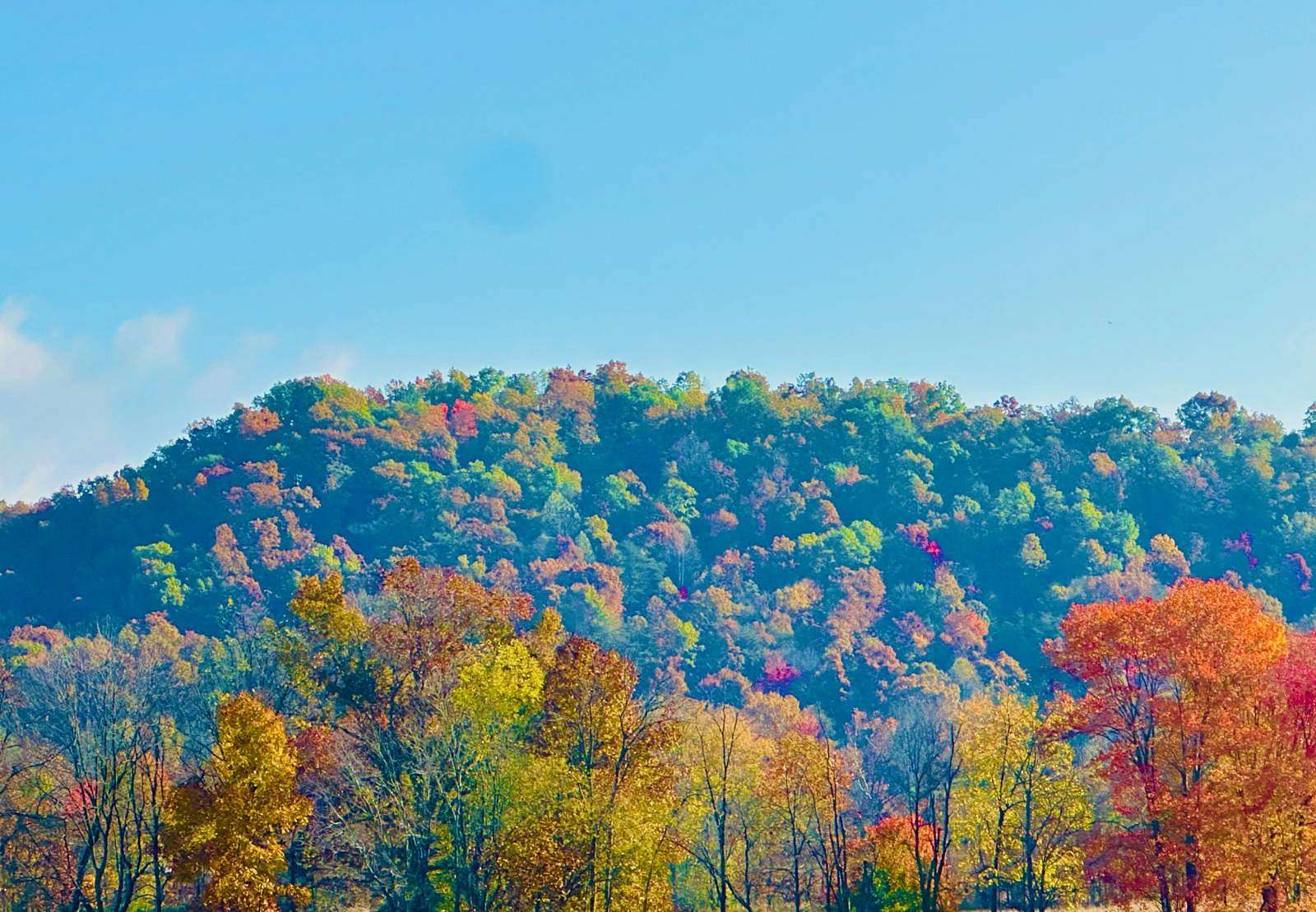 14.9 Acres of Recreational Land for Sale in Hustonville, Kentucky