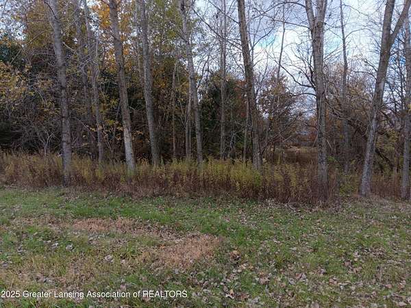 Residential Land for Sale in Perry, Michigan