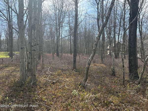 0.45 Acres of Residential Land for Sale in Blakeslee, Pennsylvania