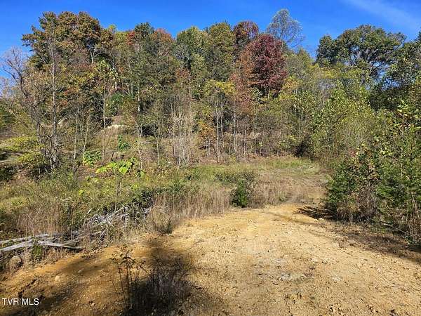 3.13 Acres of Residential Land for Sale in Erwin, Tennessee