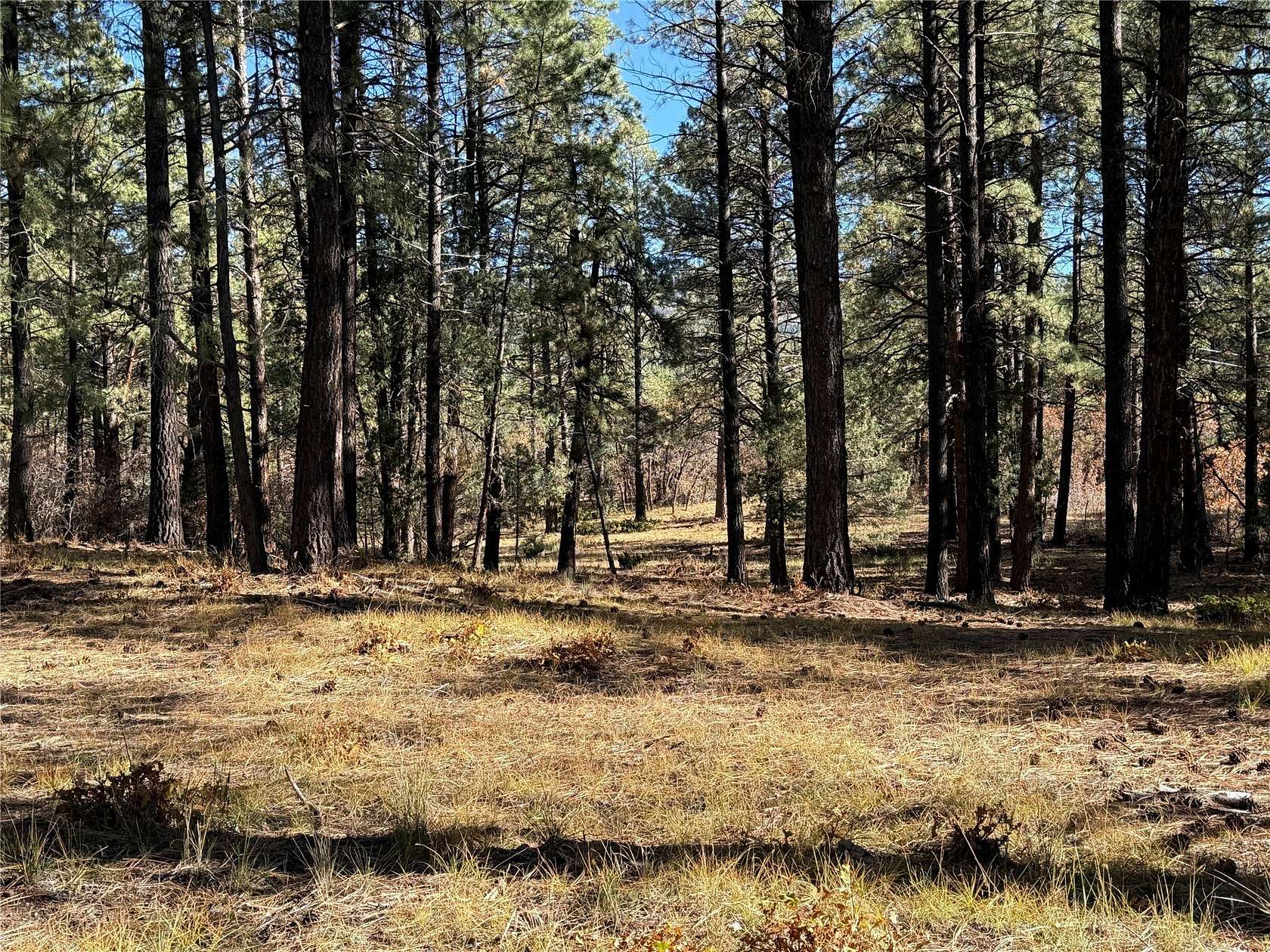 1 Acre of Residential Land for Sale in Chama, New Mexico