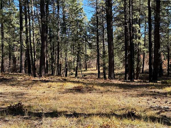 1 Acre of Residential Land for Sale in Chama, New Mexico