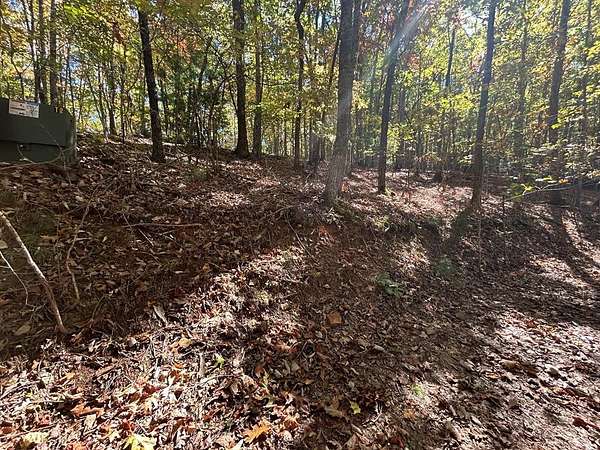Residential Land for Sale in Brasstown, North Carolina
