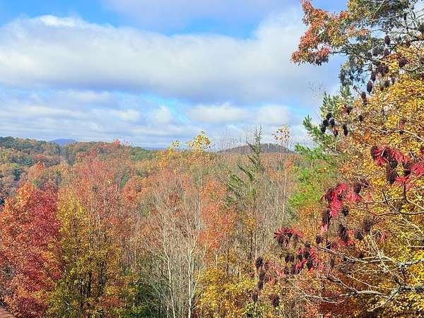 1.1 Acres of Residential Land for Sale in Murphy, North Carolina