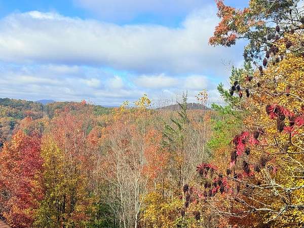 1.1 Acres of Residential Land for Sale in Murphy, North Carolina