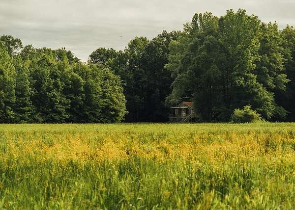 141 Acres of Recreational Land for Sale in Oxford, Mississippi