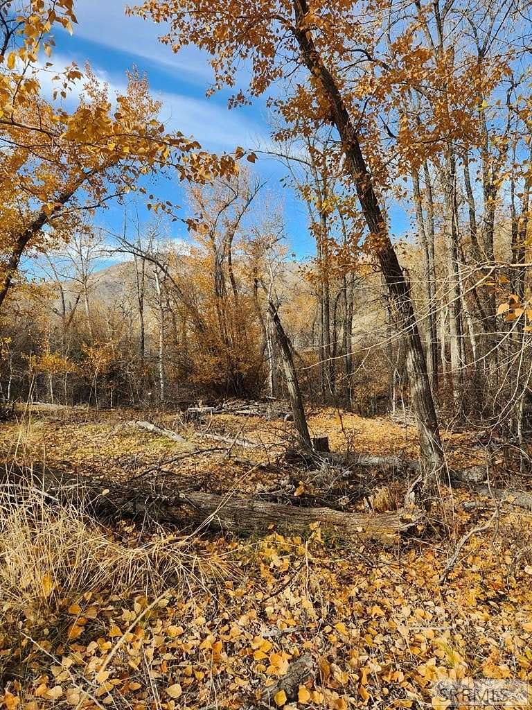 3 Acres of Residential Land for Sale in Salmon, Idaho