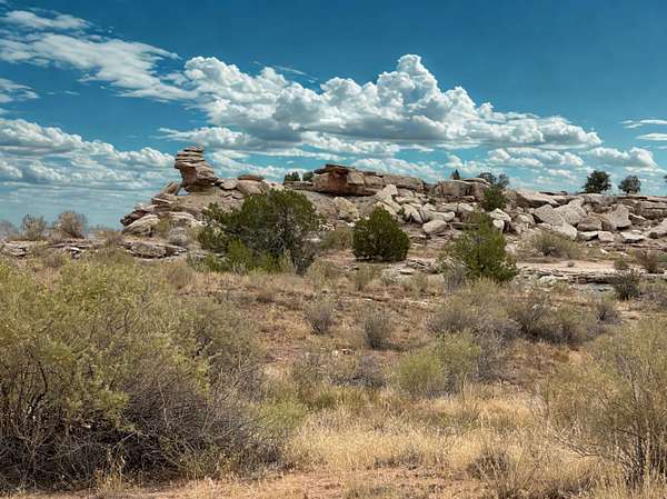 35.7 Acres of Recreational Land for Sale in Fruita, Colorado
