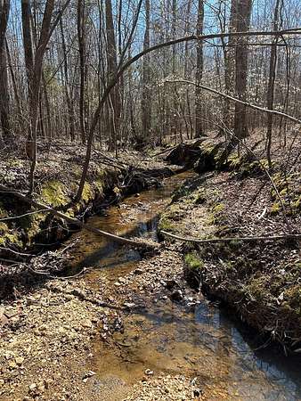 28.8 Acres of Recreational Land for Sale in Meherrin, Virginia