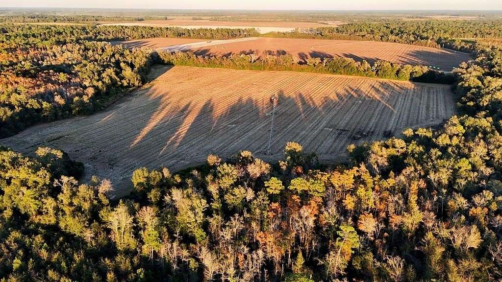 107 Acres of Land for Sale in Arlington, Georgia