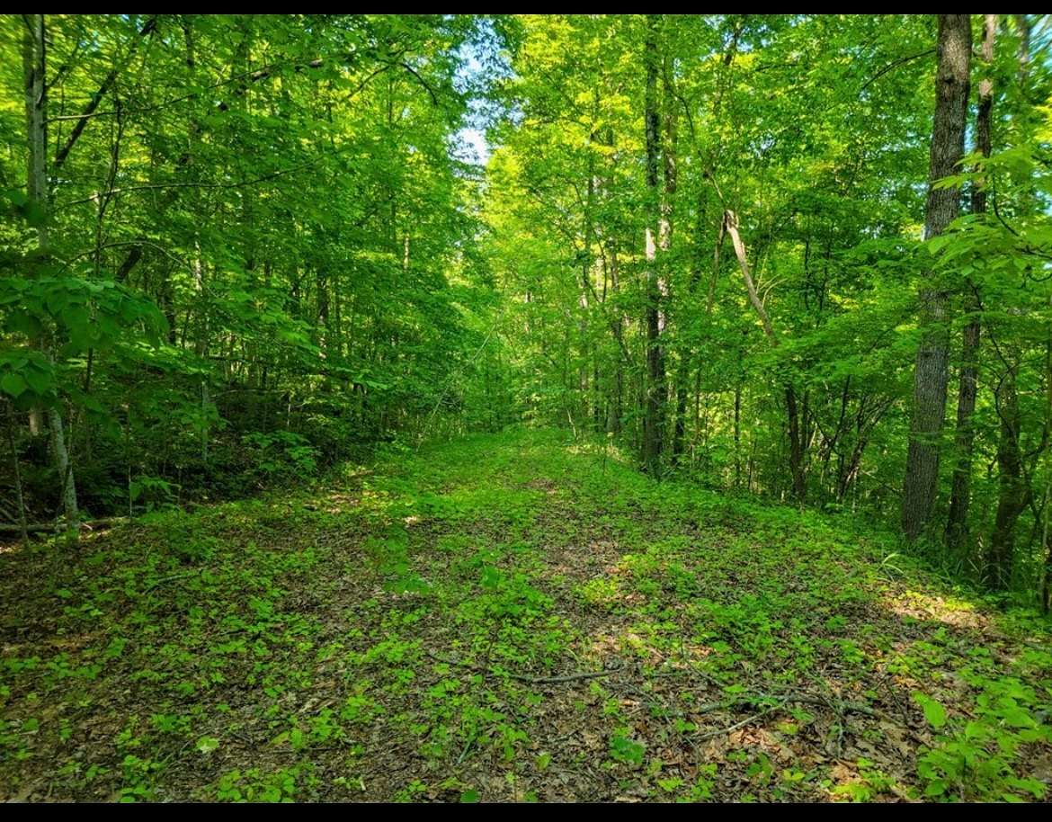 2.58 Acres of Residential Land for Sale in Sparta, Tennessee